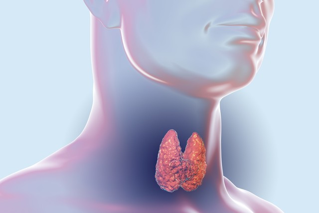 公务员体检查不查甲功？详细解读甲状腺检查